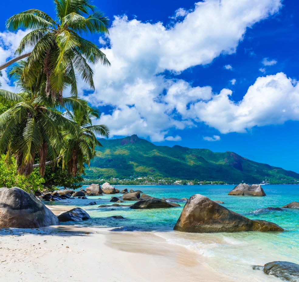 Vacation Inspiration Background Image